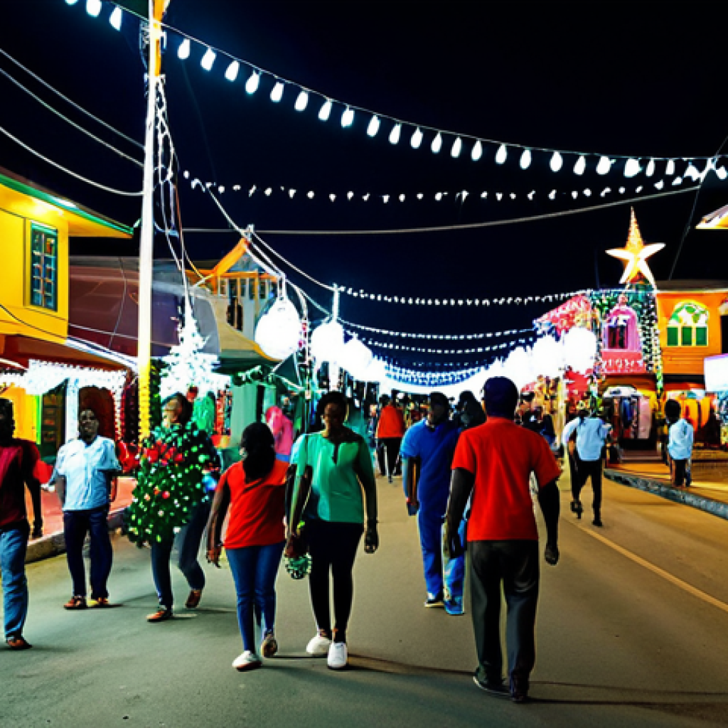 트리니다드 토바고 크리스마스 축제 - Lights of Divali Nagar at Christmas**
"A vibrant and colorful scene of Divali Nagar transformed for...